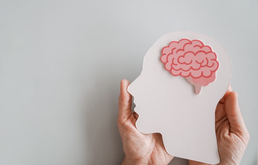 Brain Health Support: A Physician’s Guide to Cognitive Optimization with NMN, NAC, and CB-4211