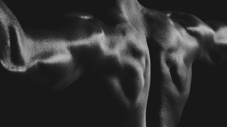 shutterstock 2520683157