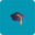 image 73